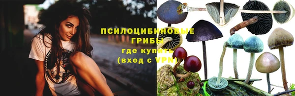 бошки Зеленодольск