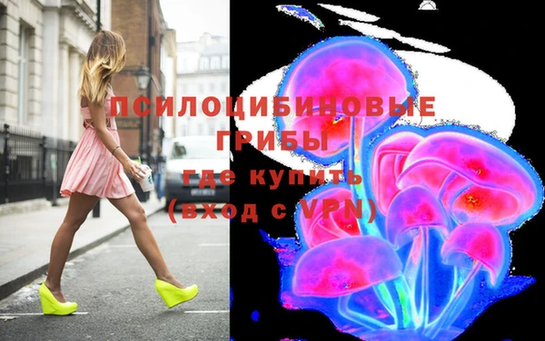 бошки Зеленодольск