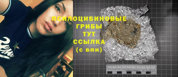 бошки Зеленодольск