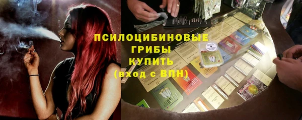 бошки Зеленодольск