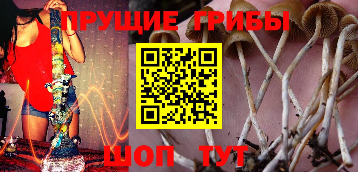 Псилоцибиновые грибы мухоморы  Вход с VPN  Галлюциногенные грибы Cubensis  Удомля 