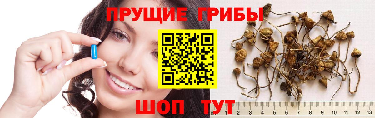 Галлюциногенные грибы мухоморы Удомля